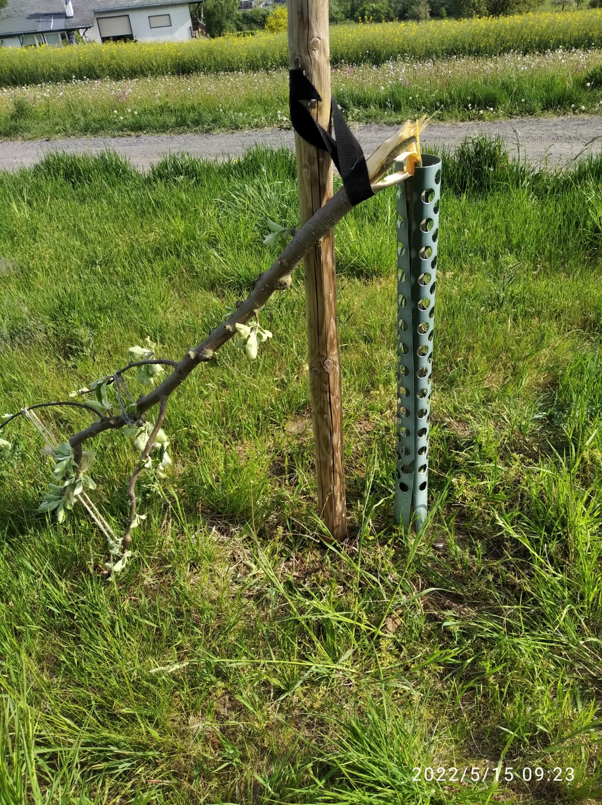 Foto sachbeschädigung