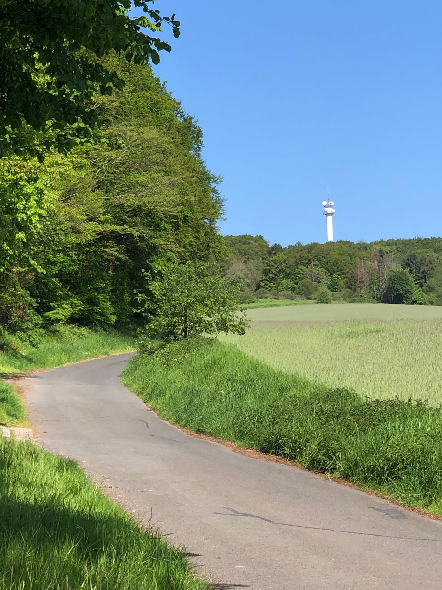 Bild ruheforst