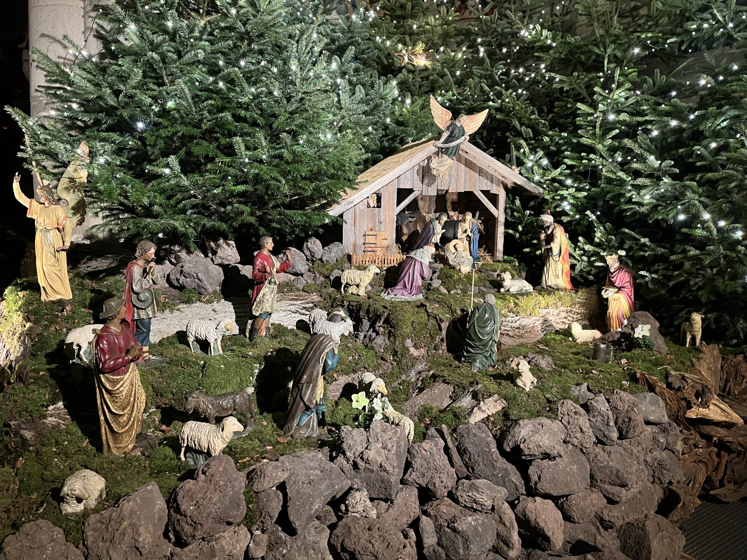 Weihnachtsgruß 2025